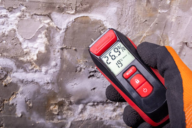 Best Local Mold Removal Service  in Westmont, NJ