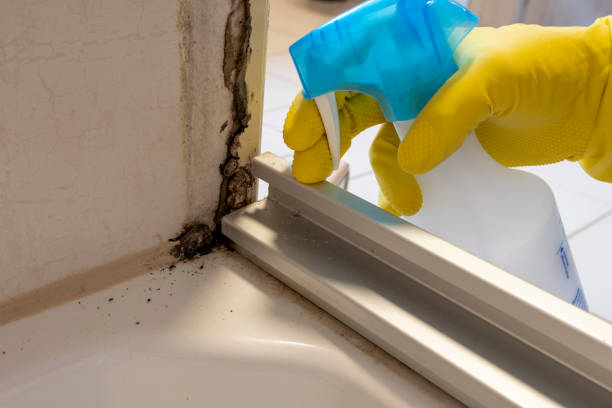 Best Office Mold Removal Services  in Westmont, NJ
