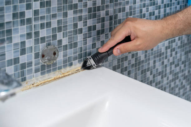 Best Same-Day Mold Removal  in Westmont, NJ